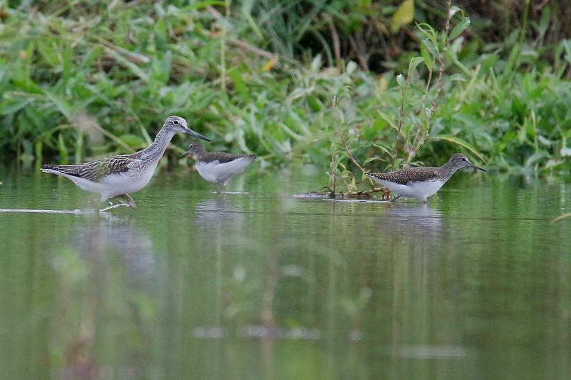 �Ó�̕��ƌ�