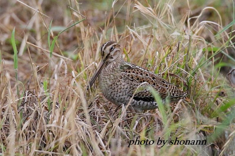 �Ó�̕��ƌ�