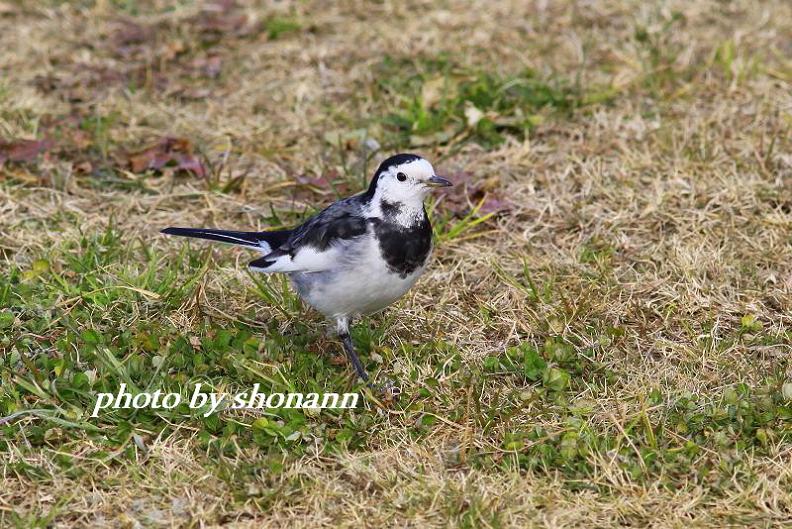 �Ó�̕��ƌ�