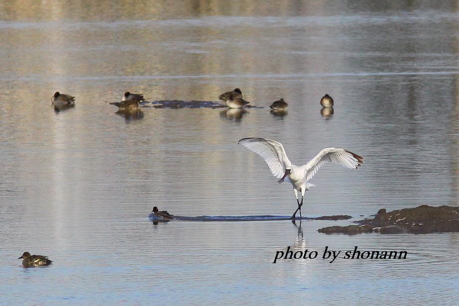 �Ó�̕��ƌ�