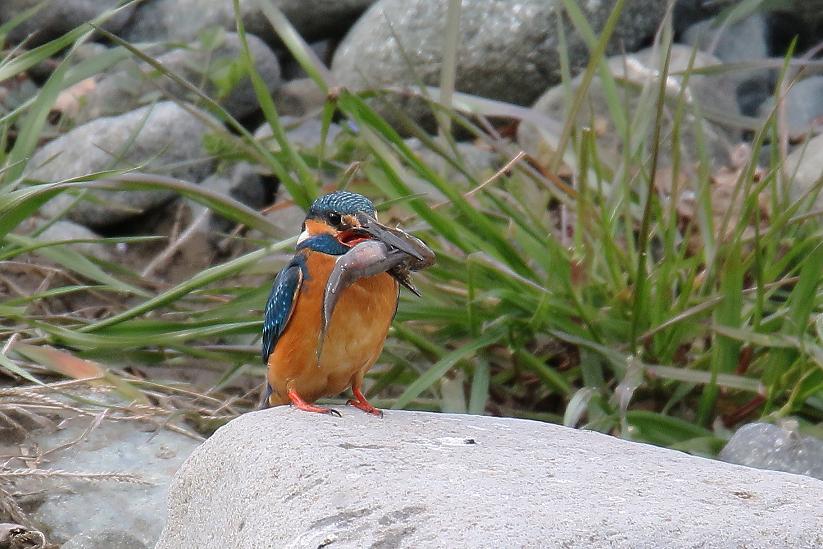 �Ó�̕��ƌ�