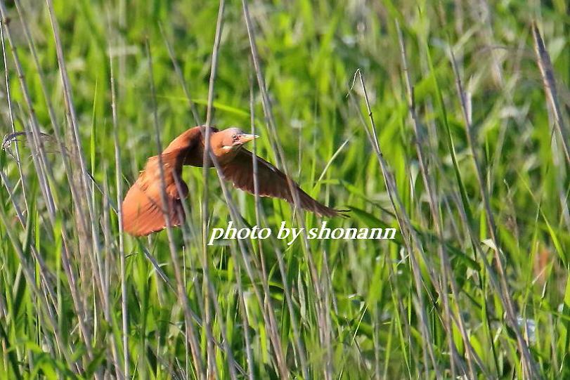 �Ó�̕��ƌ�