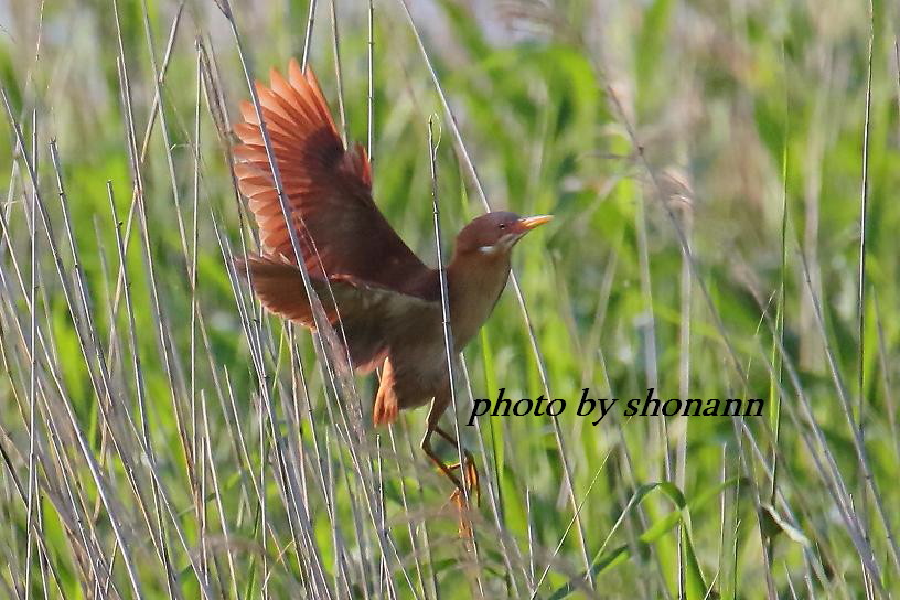 �Ó�̕��ƌ�