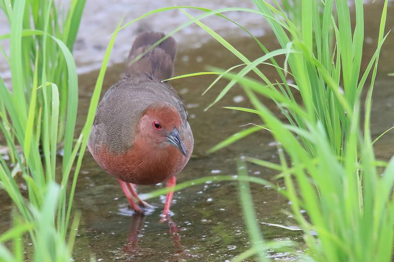 �Ó�̕��ƌ�