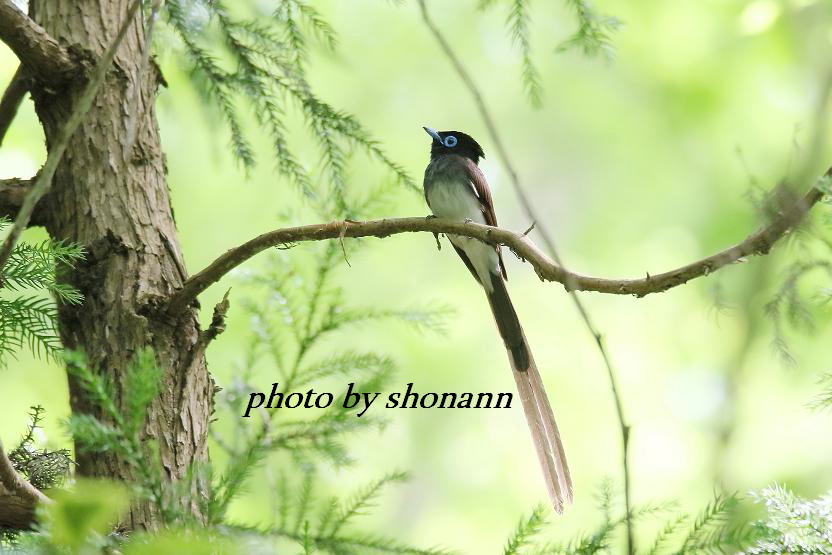 �Ó�̕��ƌ�