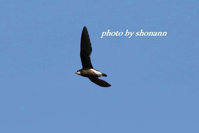 �Ó�̕��ƌ�