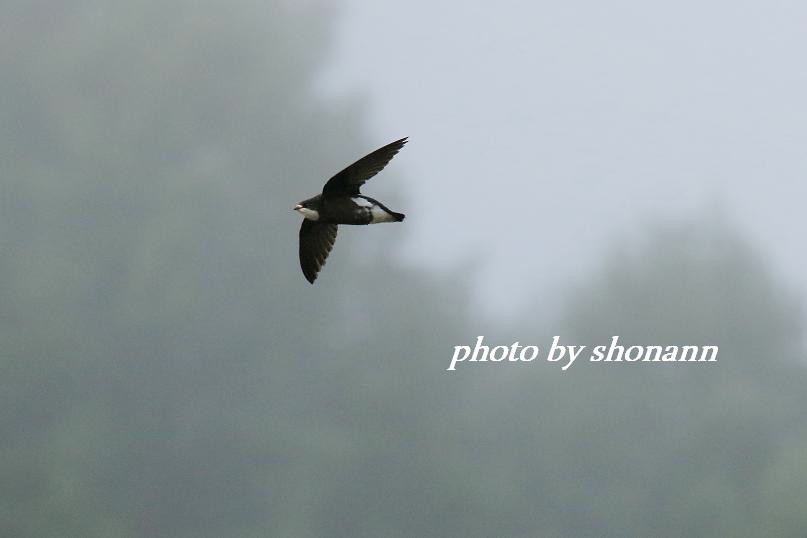 �Ó�̕��ƌ�