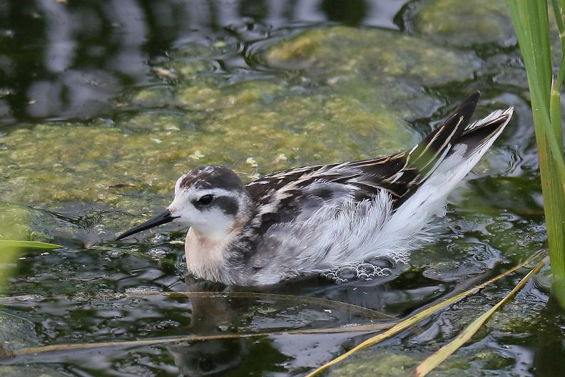 �Ó�̕��ƌ�