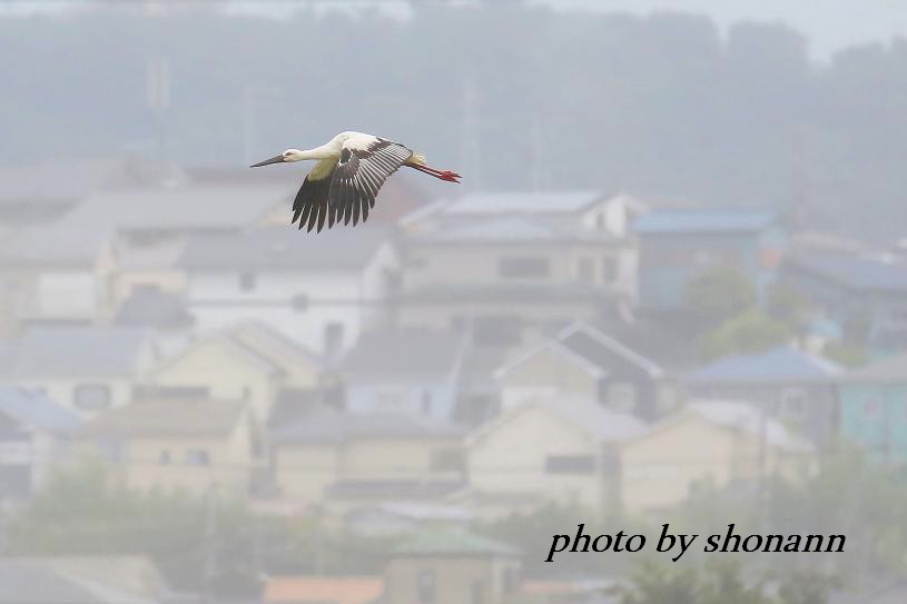 �Ó�̕��ƌ�