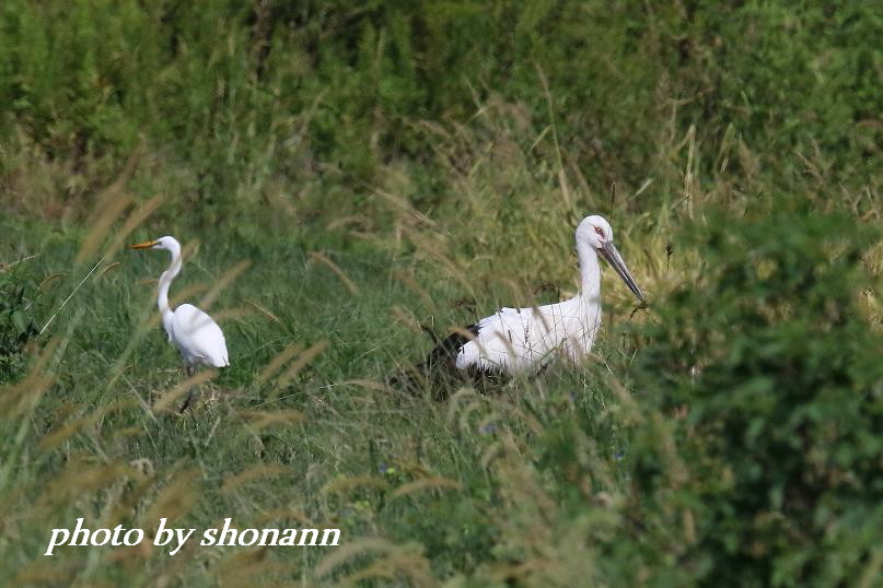 �Ó�̕��ƌ�