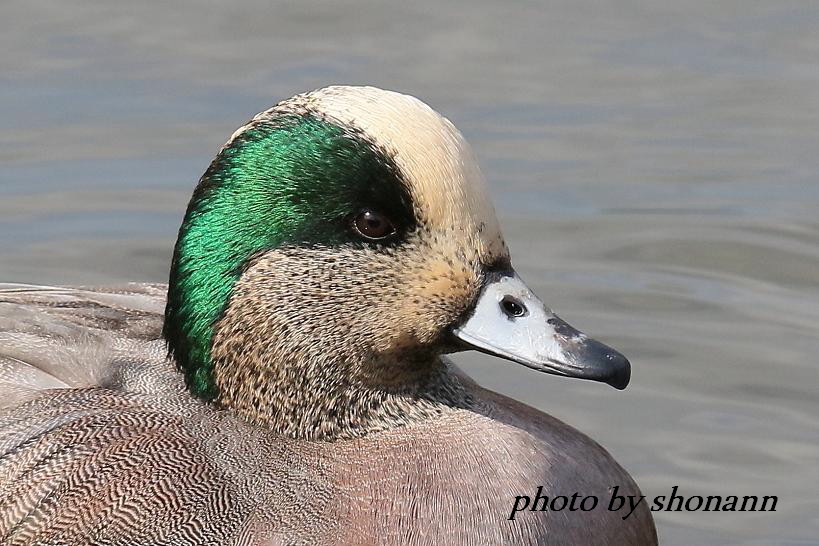 �Ó�̕��ƌ�