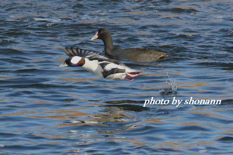 �Ó�̕��ƌ�