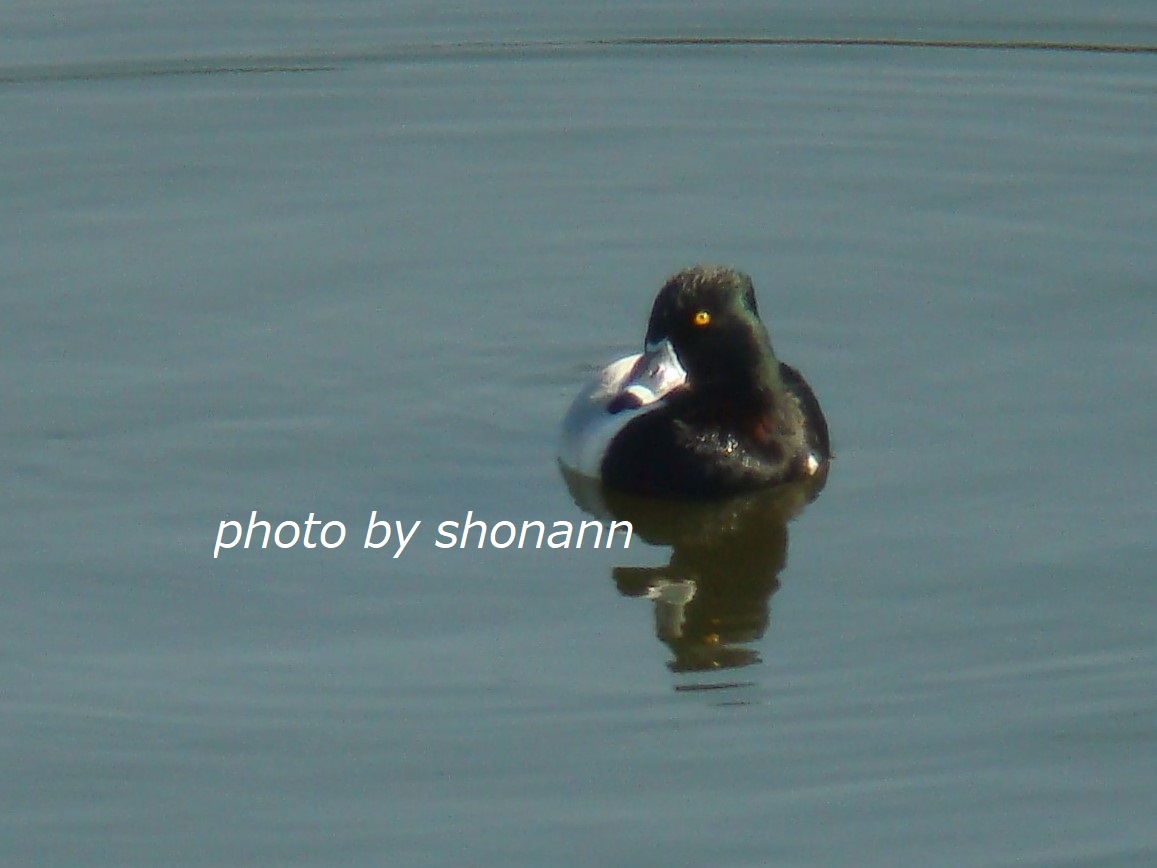 �Ó�̕��ƌ�