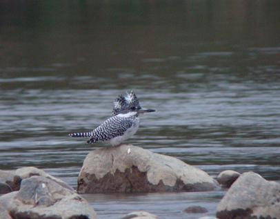 �Ó�̕��ƌ�