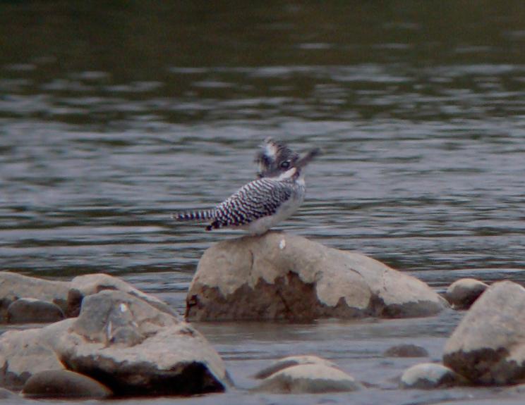 �Ó�̕��ƌ�