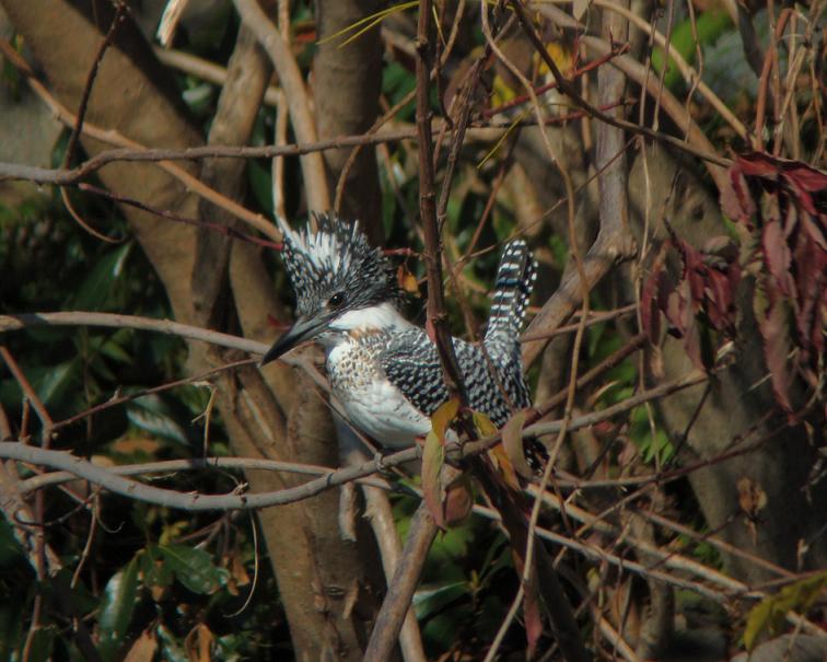 �Ó�̕��ƌ�