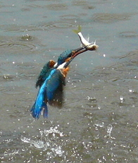 �Ó�̕��ƌ�