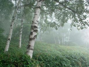 �Ó�̕��ƌ�