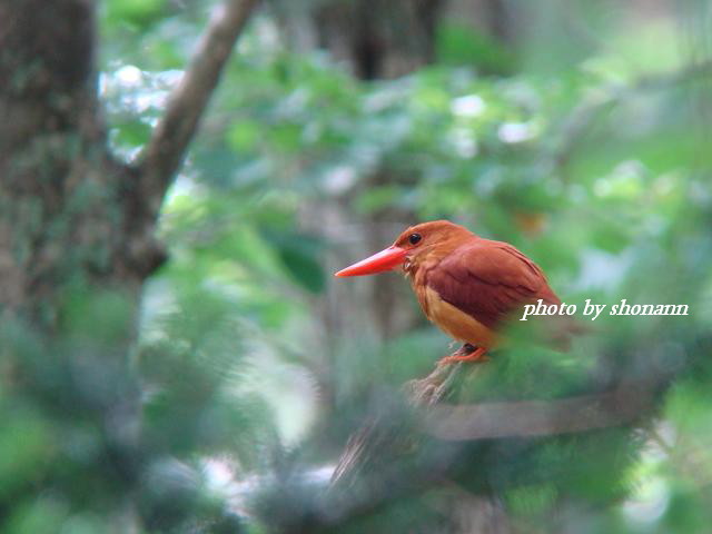 �Ó�̕��ƌ�