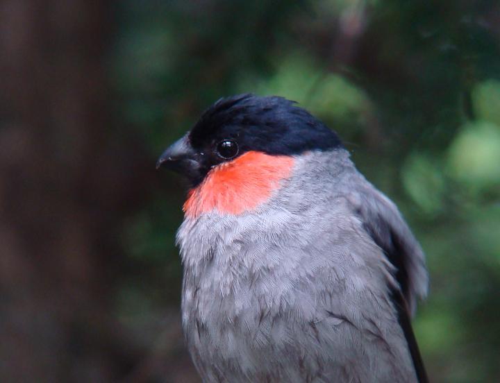 �Ó�̕��ƌ�