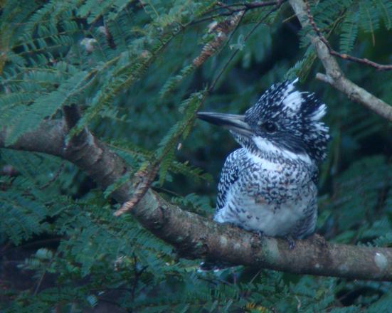 �Ó�̕��ƌ�