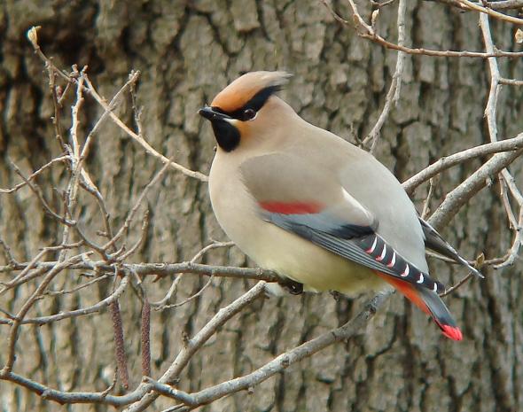 �Ó�̕��ƌ�