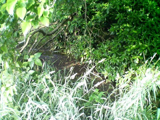 �ւȂ��傱���]�ԏ��A���������̃z�[���y�[�W