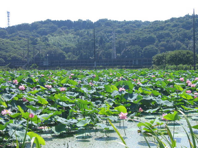 �ւȂ��傱���]�ԏ��A���������̃z�[���y�[�W