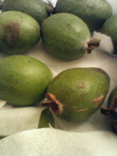   ���������L