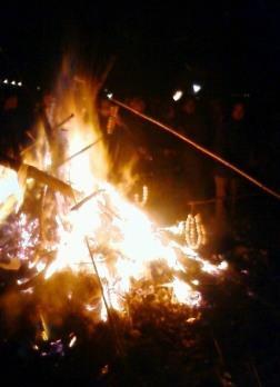   ���������L