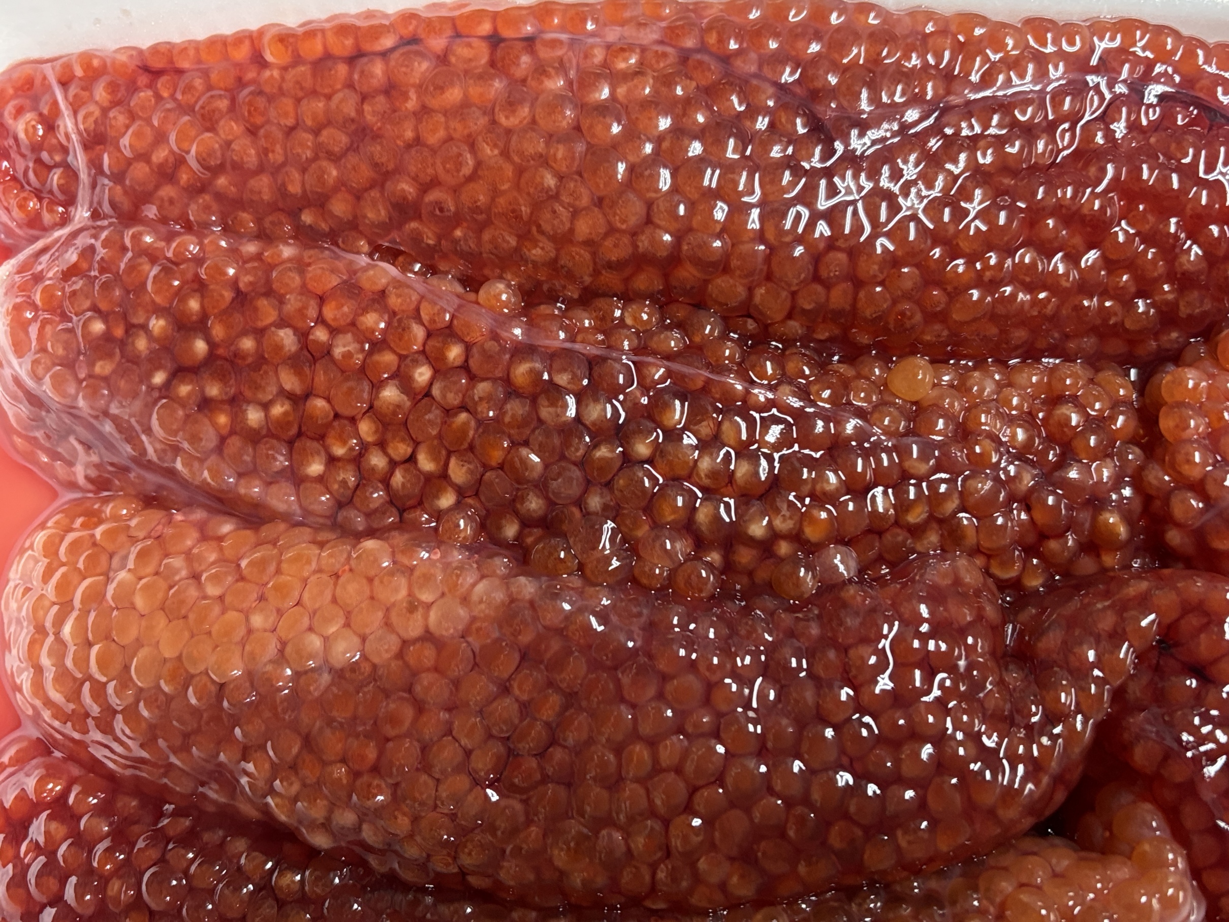 ܂ɁwC̕΁x؎qiƋƍ  w  Sxj