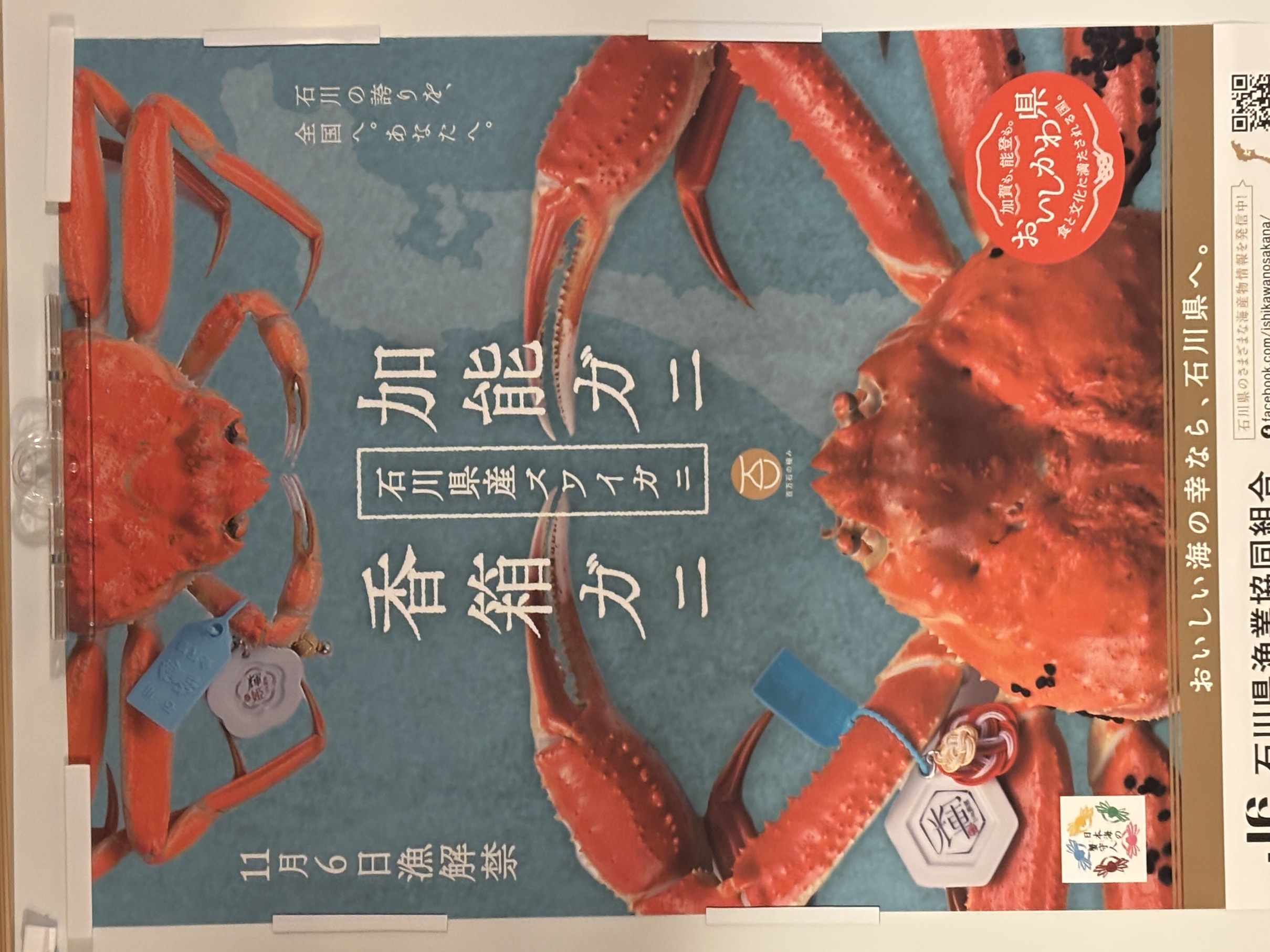 悢斾ցIIiƋƍ  w  Sxj