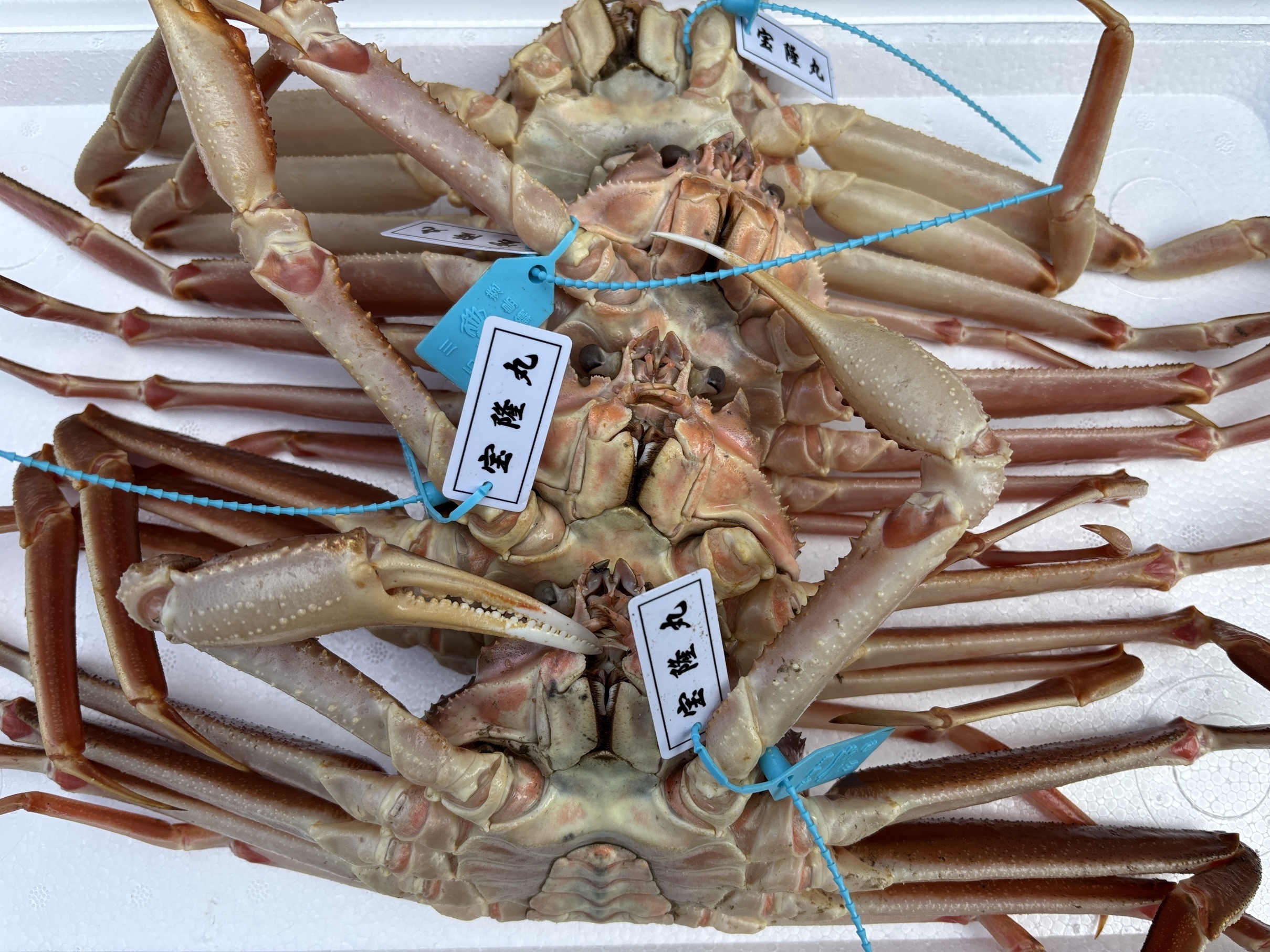 2025@w̐wxJiƋƍ  w  Sxj