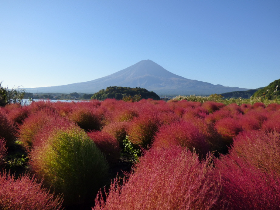 �X���[�N�ێR�̐��E