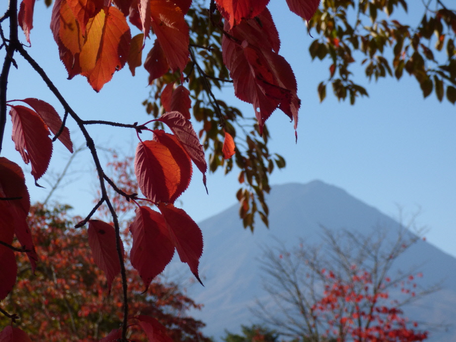 �X���[�N�ێR�̐��E