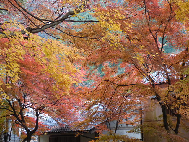 �X���[�N�ێR�̐��E