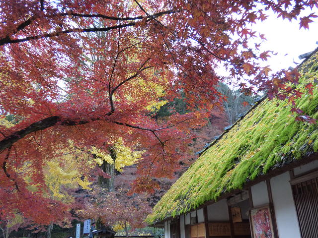 �X���[�N�ێR�̐��E