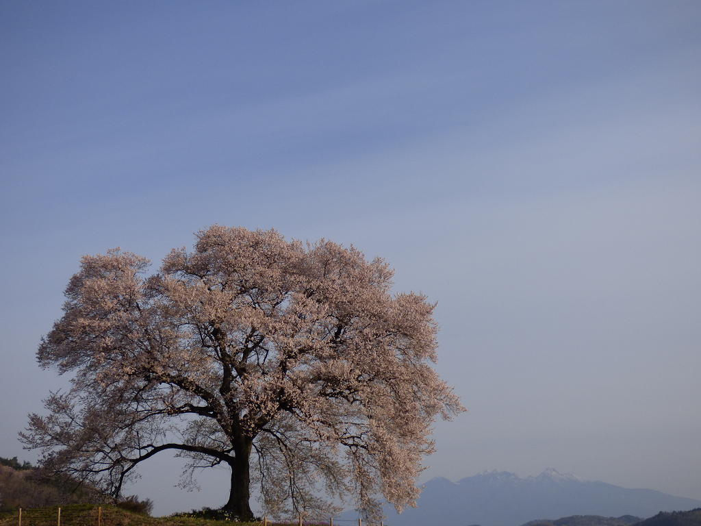 �X���[�N�ێR�̐��E