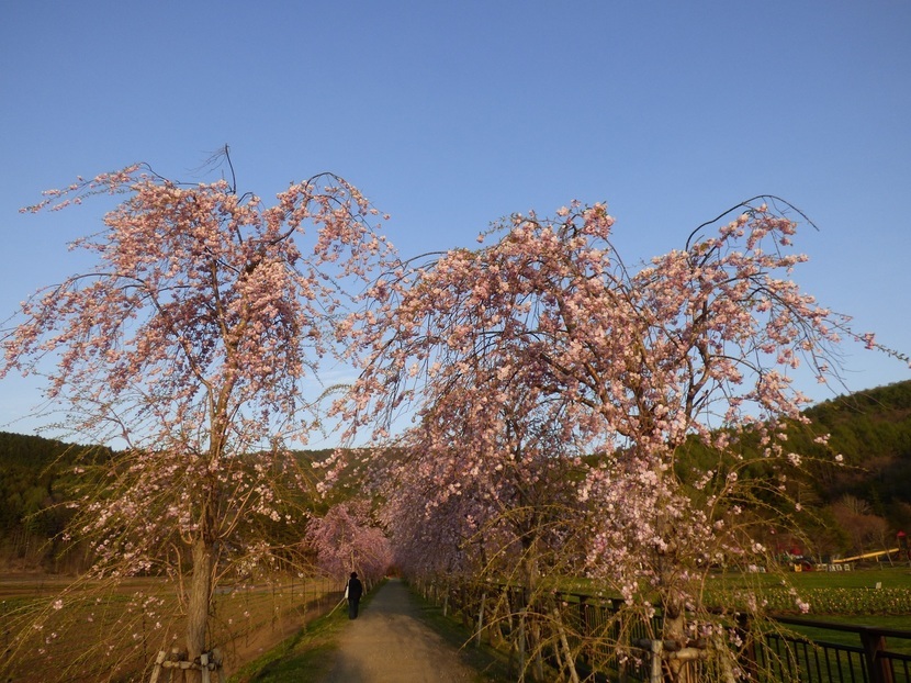 �X���[�N�ێR�̐��E