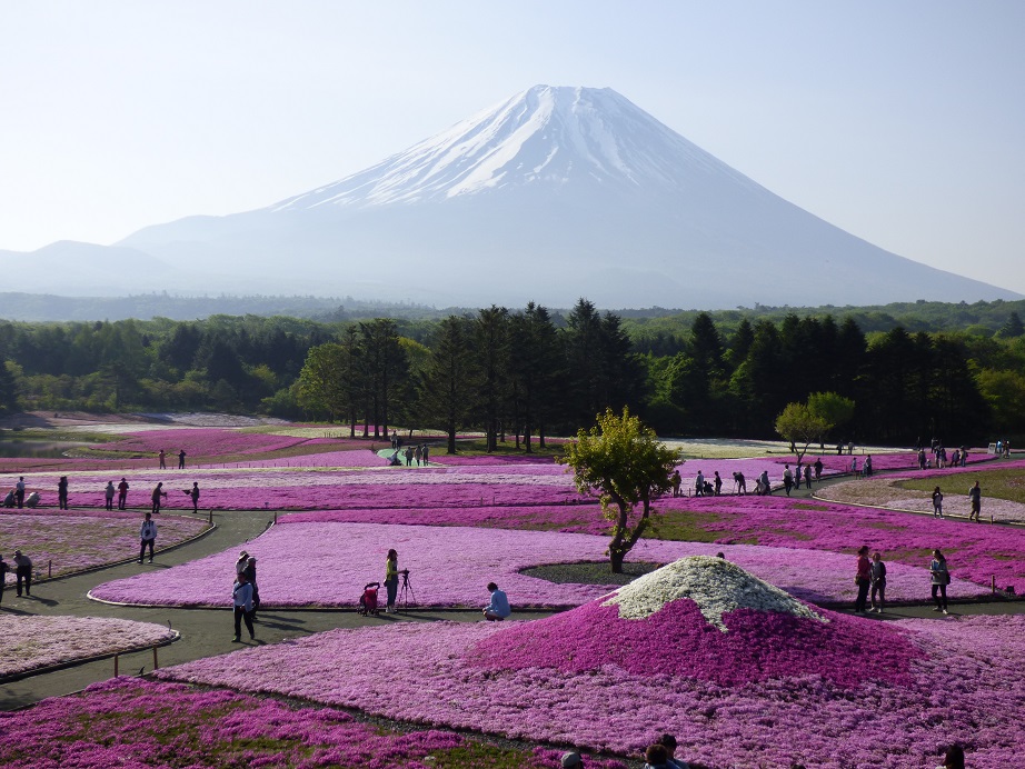 �X���[�N�ێR�̐��E