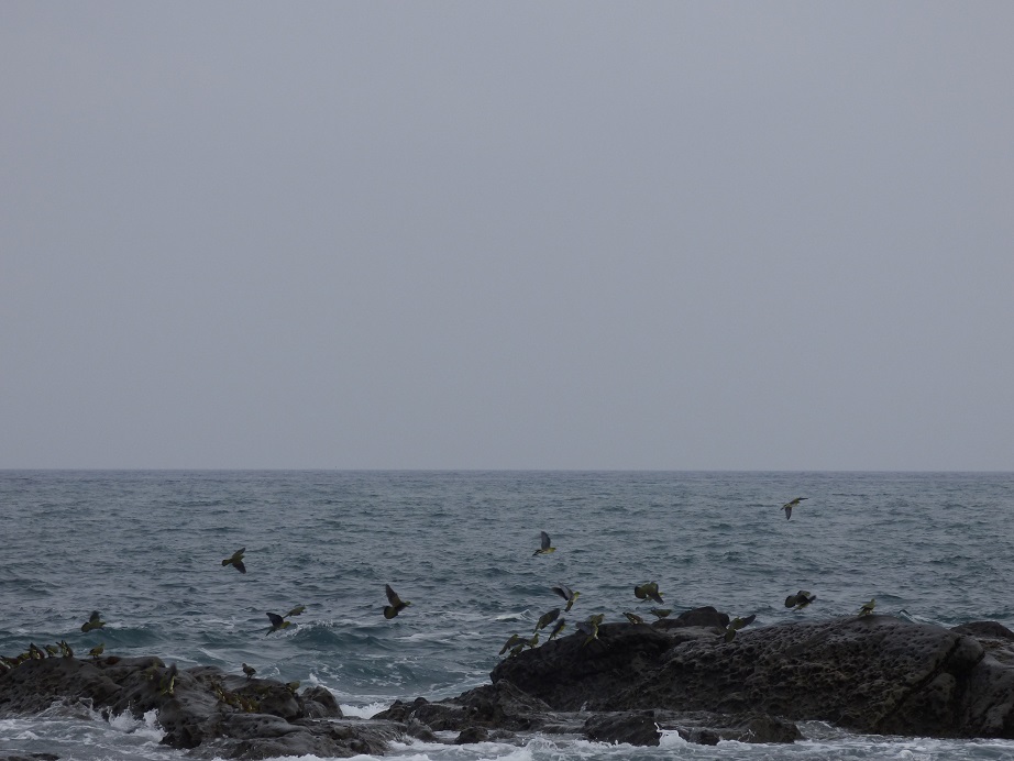 �X���[�N�ێR�̐��E