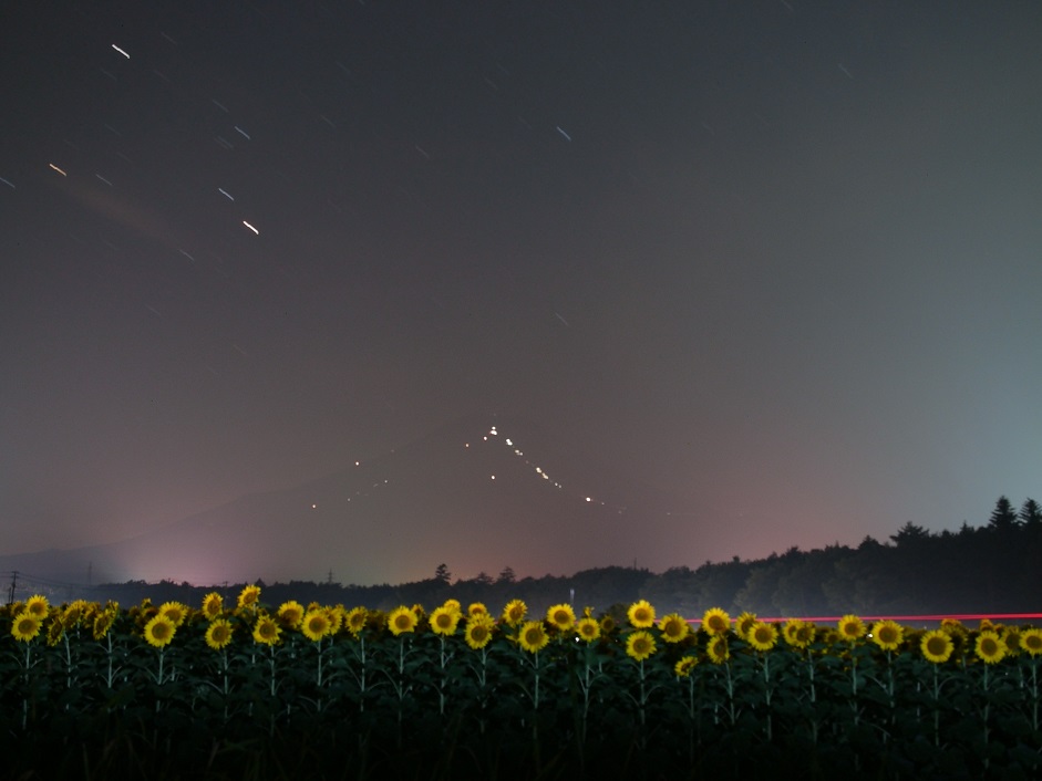 �X���[�N�ێR�̐��E