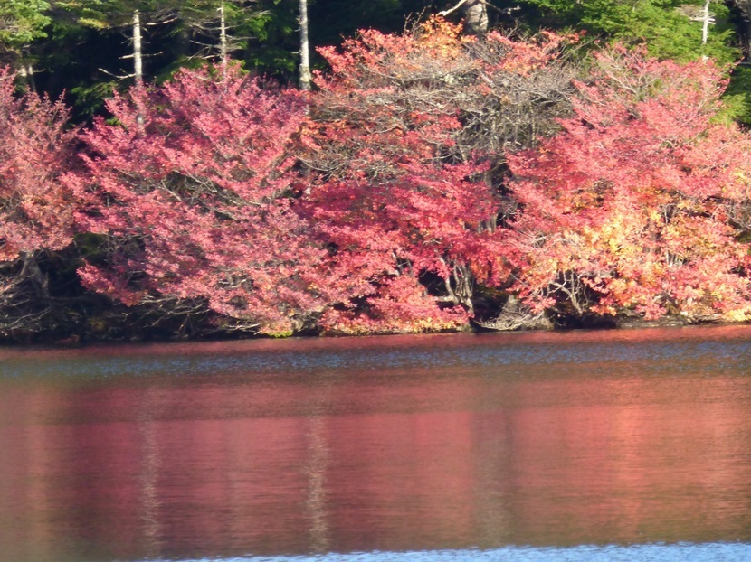 �X���[�N�ێR�̐��E