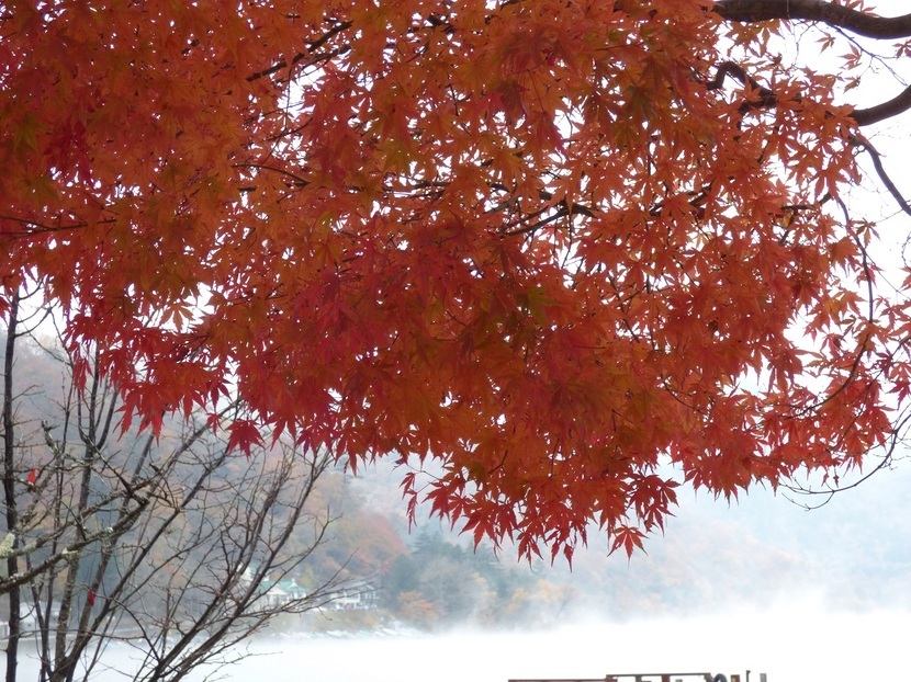 �X���[�N�ێR�̐��E