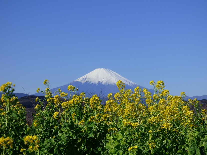 �X���[�N�ێR�̐��E