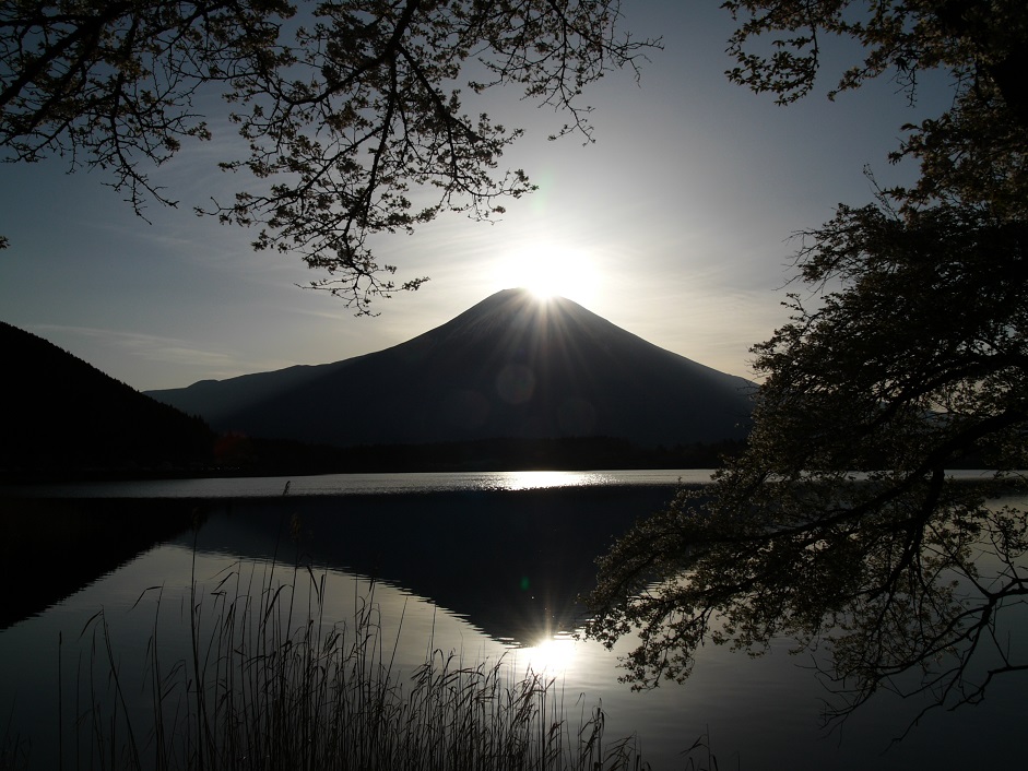 �X���[�N�ێR�̐��E