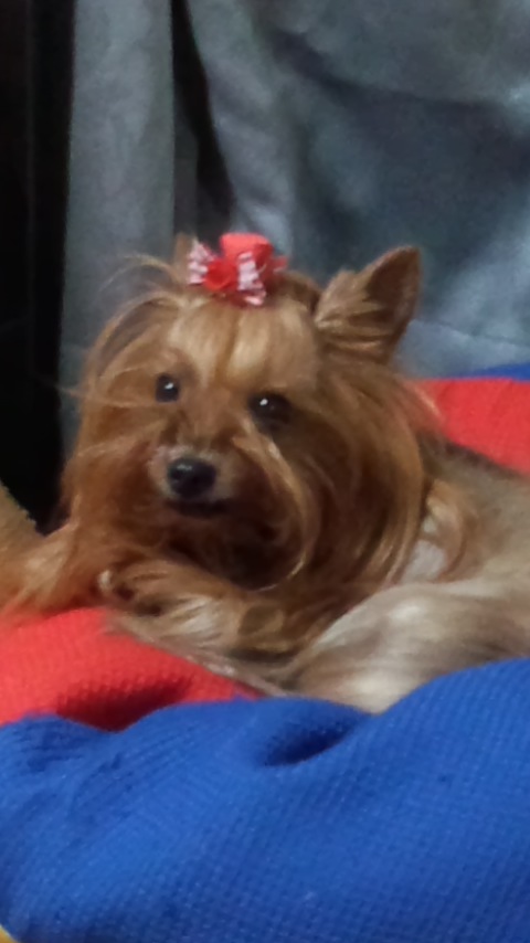 ��Ȃ̂Ԃ₫�B