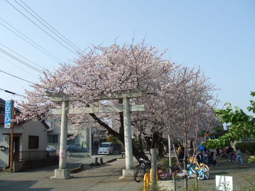 ��Ȃ̂Ԃ₫�B