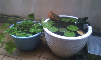 ��Ȃ̂Ԃ₫�B