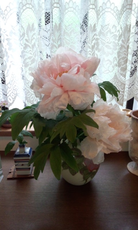 ��Ȃ̂Ԃ₫�B